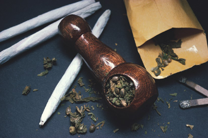 cannabis weed