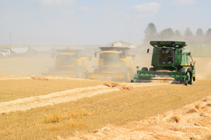 Picture Butte and Area Growing Project harvest 2018