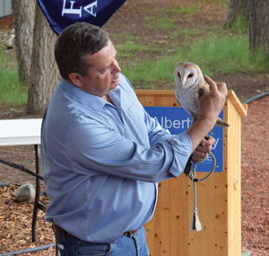 Birds of Prey Owl